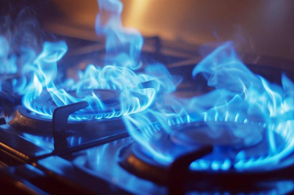 gas, stove, flames-8554849.jpg